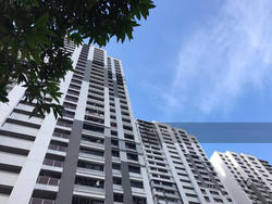Blk 13 Cantonment Close (Bukit Merah), HDB 4 Rooms #141589982